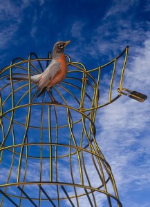 Bird ready to fly away from golden cage