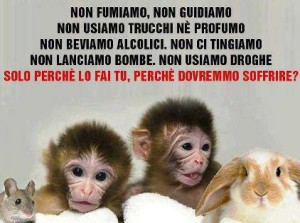 stopvivisection