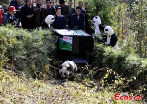 Il momento della liberazione di  Zhang Xiang