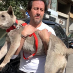 A Beirut volontari in soccorso degli animali
