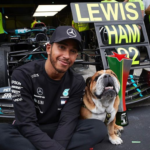 F1. Hamilton, il campione di  animalista e vegano